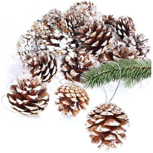 COM-FOUR® 20x Anhänger Tannenzapfen mit weißen Spitzen -...