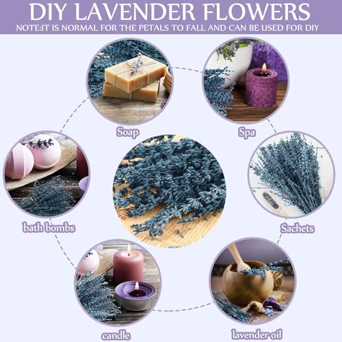Ramilletes de flores de lavanda azul secas de 17 pulgadas miniatura 6