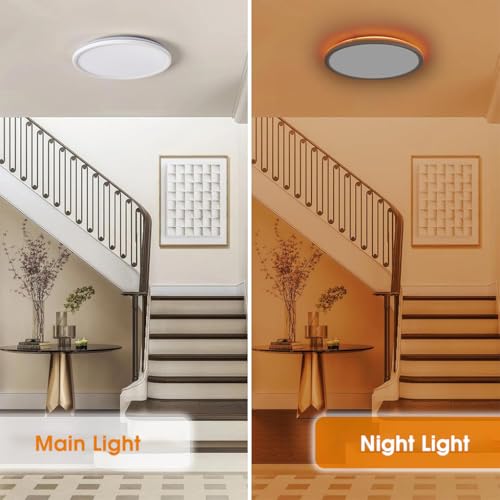 Image of ELEPHANTBOAT Plastic 12 inch LED Ceiling Light with Remote Control,Dimmable 24 W 3-Color Ceiling Light with Dim Night Light 1800k Warm,Round Flush LED Ceiling Lights (White)