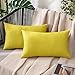MIULEE 2 Pezzi all'Aperto Copricuscini Impermeabile Federe per Cuscino Decorativi Moderni in Poliestere Cuscini in Lino per Divano Sedie Picnic Camera da Letto 30x50 cm Giallo