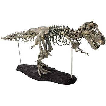 S Trouble T Rex Tyrannosaurus Rex Squelette Dinosaure Jouet Animal Modele Collector Super Decor Amazon Fr Cuisine Maison