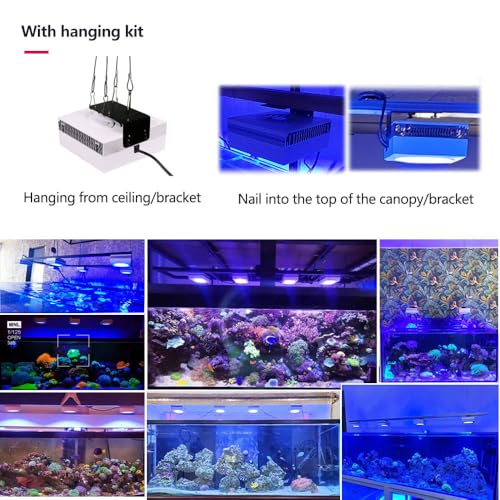 Image of PopBloom RL90 WiFi Reef LED Light, 100W Reef Aquarium Lighting for SPS LPS Corals and Saltwater Fish Tanks, Enhanced Violet and Blue Spectrum,APP Fully Programmable (1 Light with Hang kit)