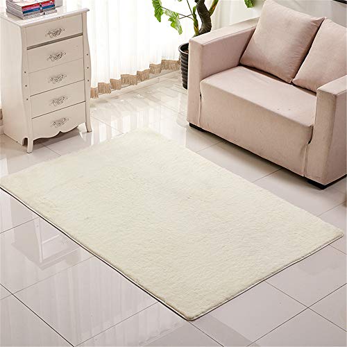 Alfombra de felpa para sala acogedora y zonas de interior o exterior cubierto 3