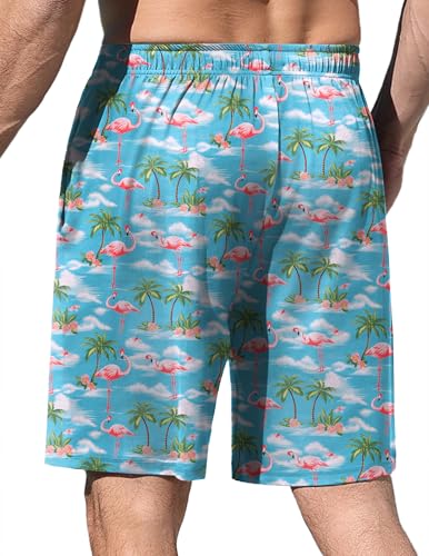 Image of Ekouaer Men's Pajama Shorts Soft Sleepwear Bottoms Elastic Waistband Loungewear Breathable Men Shorts with Pockets