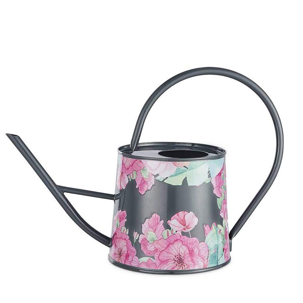 Arrosoir domestique grand format en métal avec bec long pour jardin et maison