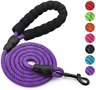 Olodeer Nylon Dog Leash with Padded Handle, 150cm x 1.2cm Length Dog Leash for Daily Walking and Training,Fit for Small Medium Large Dogs