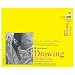 Strathmore 340-114 300 Series Drawing Pad, Medium Surface, 14"x17" Glue Bound, 50 Sheets