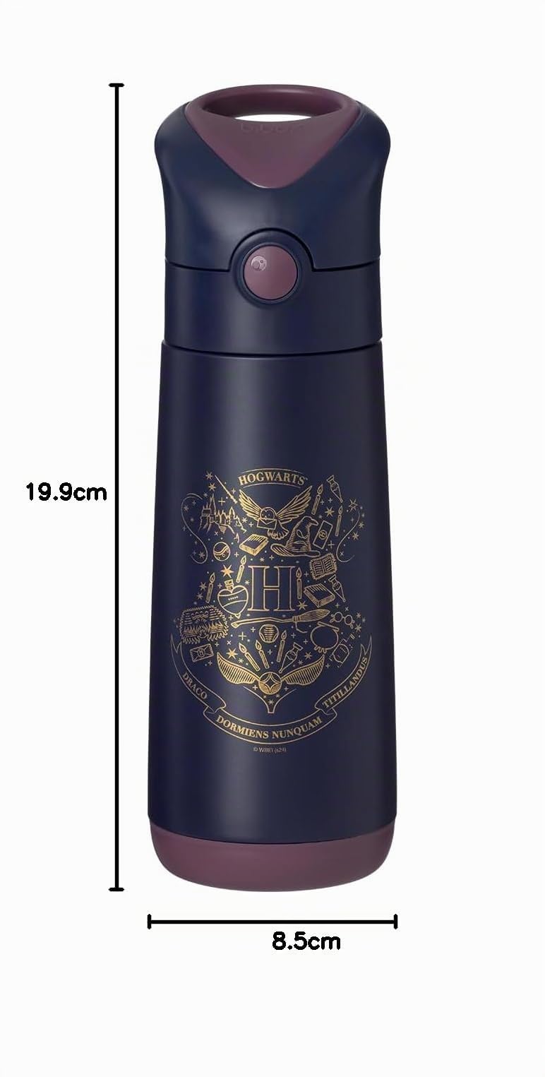 b.box Gourde Isotherme | Acier Inoxydable à Double Paroi | Garde les Boissons Froides Jusqu'à 15 Heures, Chaudes Jusqu'à 8 Heures | 500 ml