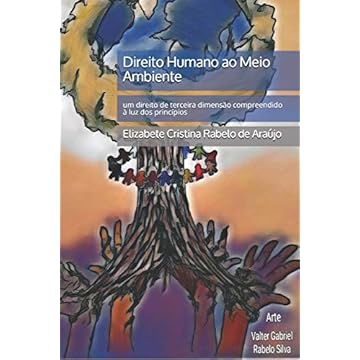 Capa do livro Direito Humano ao Meio Ambiente: um direito de terceira dimensão compreendido à luz dos princípios