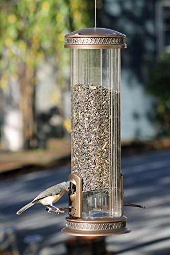 image for More Birds X-3 Squirrel-Proof Bird Feeder with 5-Pound Bird Seed Capac