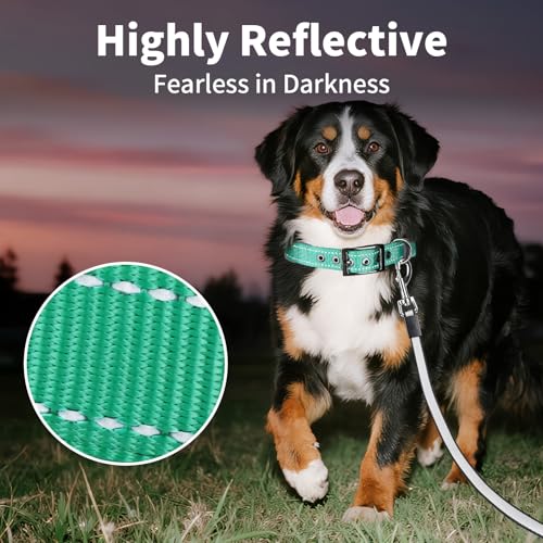 Collier réfléchissant chien XL vert large réglable confortable métal - 7