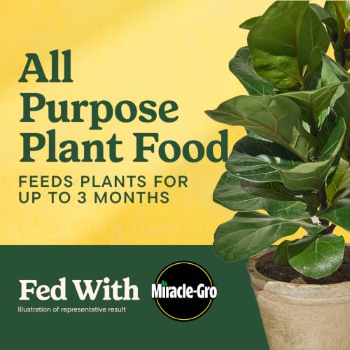 Miracle-Gro Shake 'N Feed All Purpose Plant Food, 1 lb. | Outdoor and Indoor Plant Food for In-Ground and Containers, Feeds for up to 3 Months - image 2
