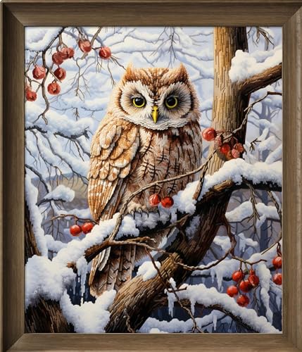Image of Leczany Cross Stitch Stamped Kit for Beginner - Owl in Snow | DIY Embroidery Starter Patterns Craft Kit Needlepoint for Adults | 11CT, 3 Strands | 14.2x16.5 inches