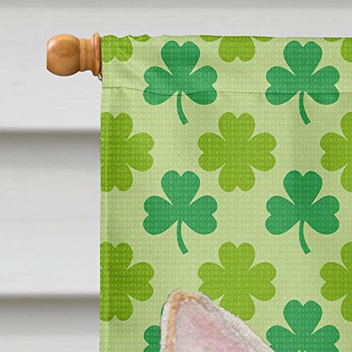 Drapeau de maison en toile de qualité supérieure motif Chihuahua multicolore - 4