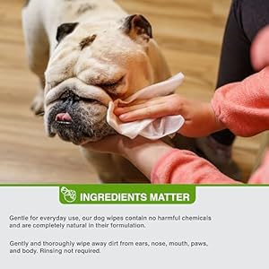 Pure and natural pet grooming and cleansing wipes for all pets unscented 100 ct   cucciolini doodles