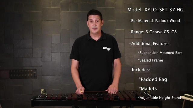 Amazon.com: Stagg XYLO-SET 37 HG Professional Xylophone Set with