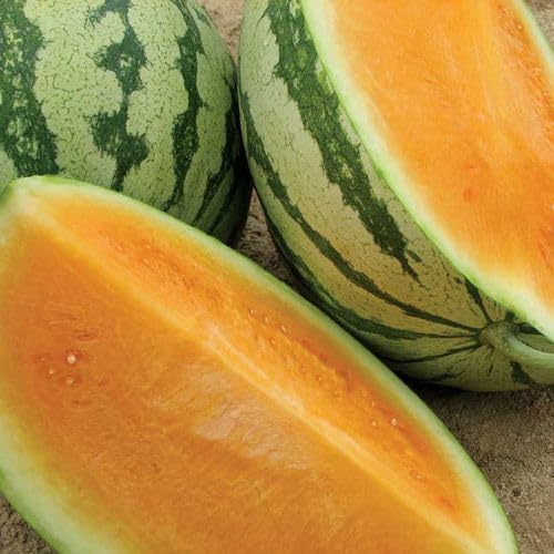 Park Seed Variety of Watermelon Fruit Seeds, Plant Seeds, Easy to Grow, Perfect for Harvesting...