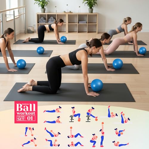 Image of Aoriher 10 Pack 9 Inch Small Pilates Ball Bulk Mini Exercise Ball Portable Non-Slip Workout Yoga Balls with Air Pump for Stability, Barre, Fitness, Balance, Physical &Core, Gym Home Office Use