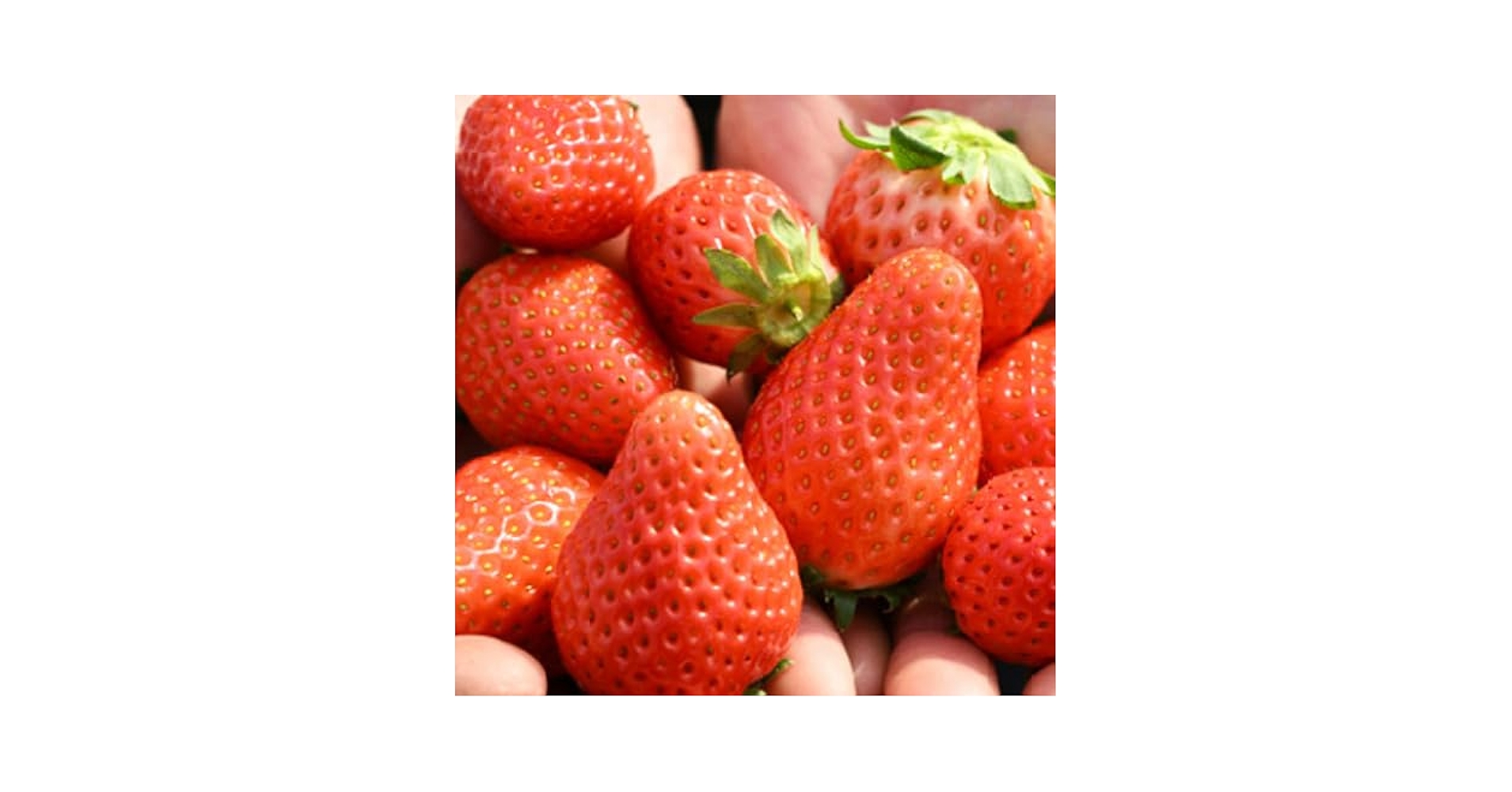 いちご♡°。⋆♡*°様ご確認用 わたしのデコバッグシリーズ👜🩵