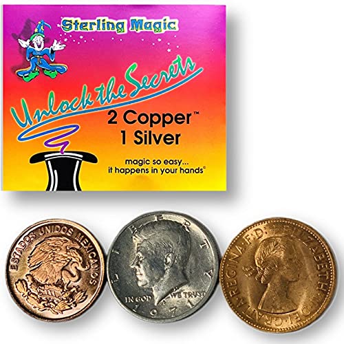 Silver Dragon Steamer, 110 volt, Item No. 24.970