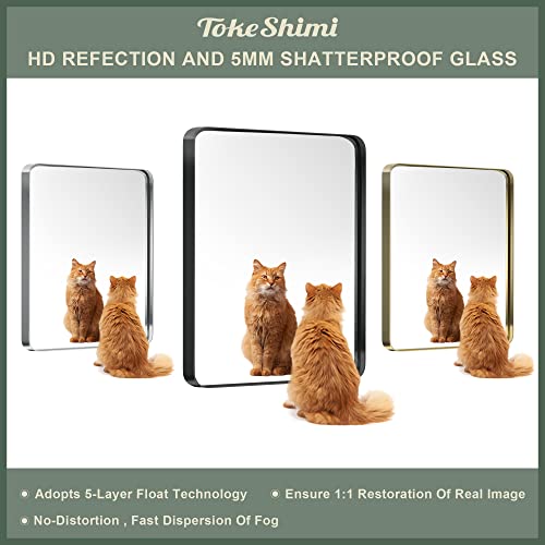 Tokeshimi 40 X 30 Inch Wall Mirror For Bathroom Black Metal Frame Decorative Rectangular Wall Mounted Home Decor Corner Hangs Farmhouse Mirror (Horizontal/Vertical) #TOP5