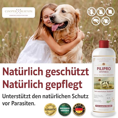 COOPER & BURTON Teebaumöl Hundeshampoo SPARSET 2X 500ml | Shampoo für Hunde gegen Juckreiz Flöhe Zecken Milben Fellpflege & Fellglanz Pflegend | pH-hautschonend für alle Felltypen