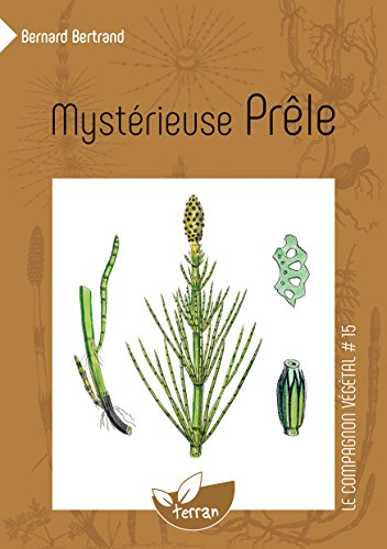 Télécharger Mystérieuse Prêle - Vol. 15 PDF Ebook En Ligne