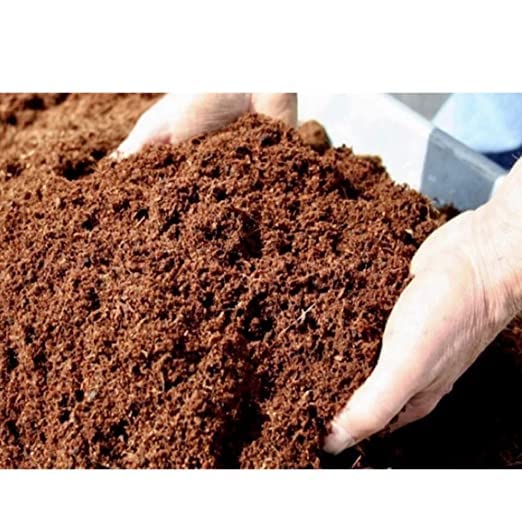 T.S Enterprises Cocopeat Powder_100% Organic_Eco-Friendly_Ready to Use for Indoor_Outdoor Plants_Home Gardening_Nurseries LJCRS5 (1) (B0BN8K9JB8) Amazon Price History, Amazon Price Tracker