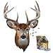 Madd Capp Madd Capp I AM Buck Puzzles (550 Pieces)