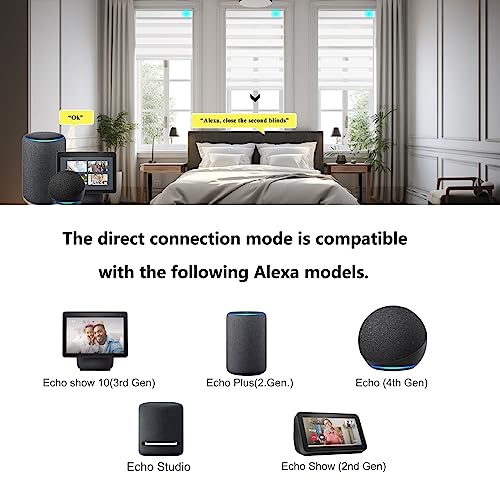 Image of Changshade Motorized Blinds with Remote Control, Blackout Custom Size Zebra Roller Shades for Windows Doors Cordless, Work with Alexa, Work with Alexa, Google, SmartThings, White, White(blackout)