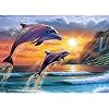 Bimkole 5D Diamond Painting Kits Dolphin Sunshine Cliff, DIY Diamant Schilderij Kit Full Ronde Boor Crystal Strass…