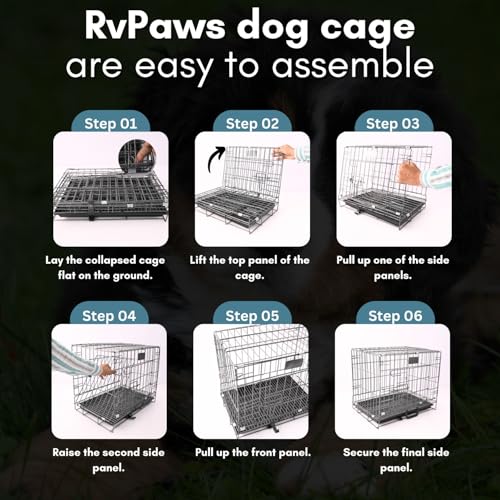 Image of RvPaws Dog Cage - Powder Coated, Single Door Folding Metal Cage /Crate /Kennel with Removable Tray and Paw Protector for Dogs Small Size, Cats and Rabbits (Black-Silver, Length-18 Inch)