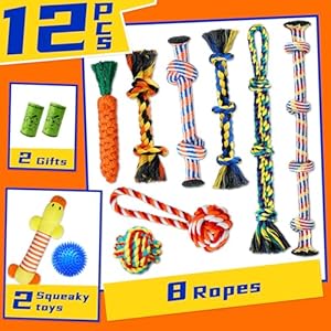 Zeaxuie Luxury Tough Dogs Toys for 5-50lbs Dogs -12 Pack Valued Dog Toys for Small,Medium Breed & Large Breed with Interactive Rope Toys,Squeaky Chew Toys for Teething