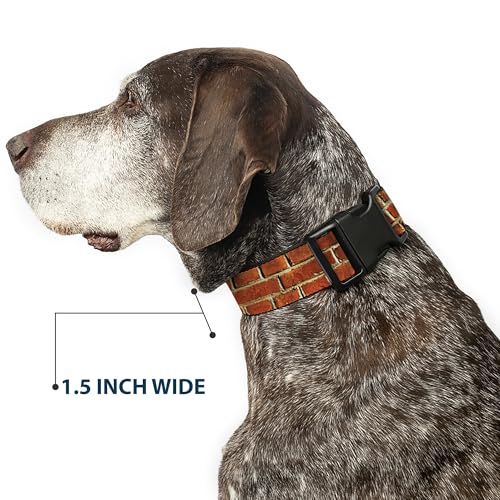 Collar para perro Buckle-Down, broche plástico, 28 a 42 cm miniatura 7