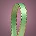 Mint Green Satin Ribbon with Gold Edges, 3/8" X 50Yd