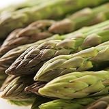 アスパラ 北海道 グリーンアスパラガス lサイズ1kg 野菜 アスパラガス