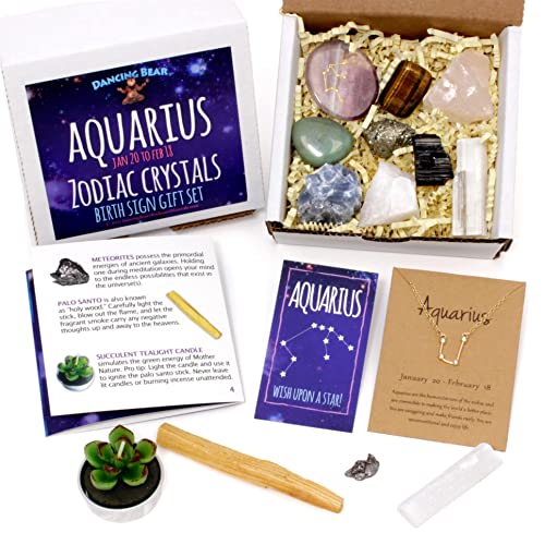DANCING BEAR Aquarius Zodiac Healing Crystals Gift Set, (14 Pc): 9 Stones, 18K Gold-plated Constellation Necklace, Meteorite, Succulent Candle, Palo Santo Smudge stick, and Info Guide, Made in the USA