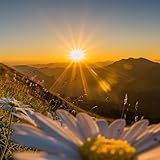 marineuda de oliveirada silva