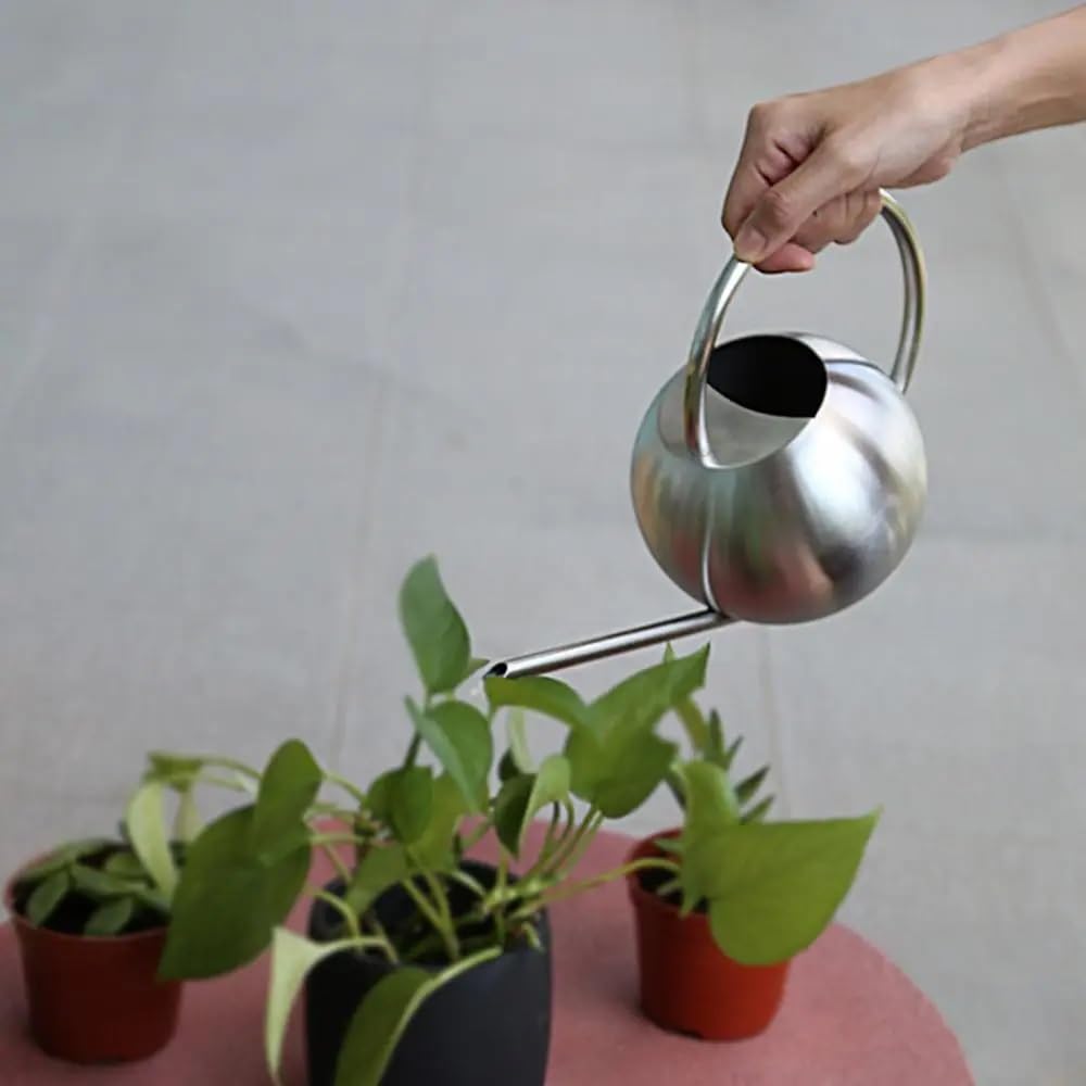 Arrosoirs Arrosoir en Acier Inoxydable 1L, Pot d'arrosage de Fleurs à Long Bec avec poignée, Outil de Jardin 33.8oz