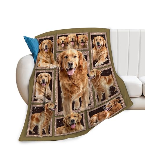Golden Retriever Blanket for Girls Woman Funny Dog Throw Blanket Golden Retriever Stuff Decor Merch Cozy Flannel Soft Warm Plush Lightweight Bedding Retriever Gifts for Boy Man Sofa Bedding 50"X40"