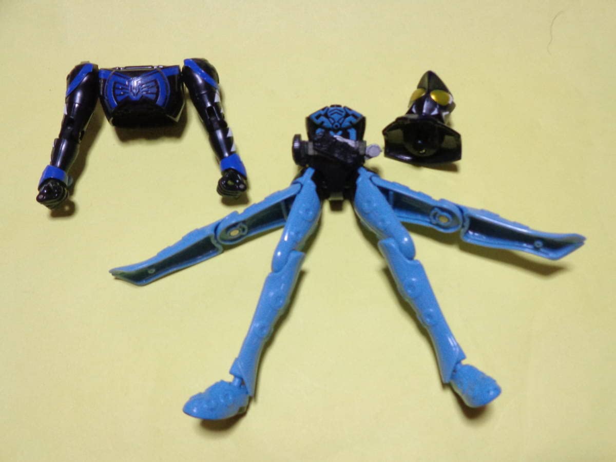 ももえびしゃちたこ 絆深まったエビしゃちライブで「七日間戦争」平和に終戦 - 音楽