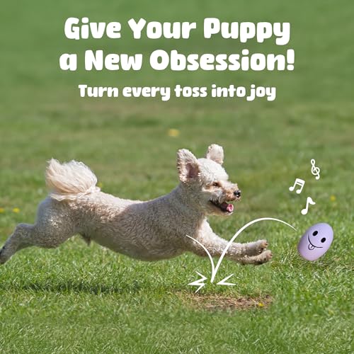 Juguetes Sonoros Mini Huevo para Perros Pequeños (4-Pack) miniatura 6