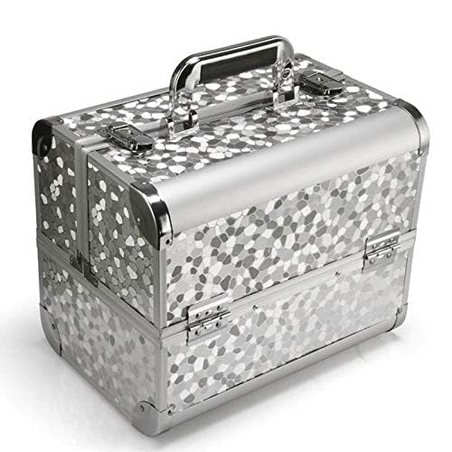 Image of Adson Professional Makeup Box Cosmetics Case Jewelry Organiser Vanity Make Up Storage Box Beauty Train Case Lockable with Keys (Cloudy Smoke Silver)
