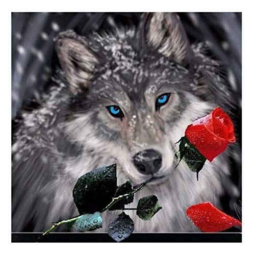 TIANZXS5d diy diamond painting kits Wolf rose Adults DIY Full Drill Crystal Rhinestone Pictures Arts Craft for Home Wall Decor Gift 12"X16" No frame