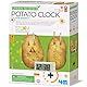4M Green Science Potato Clock
