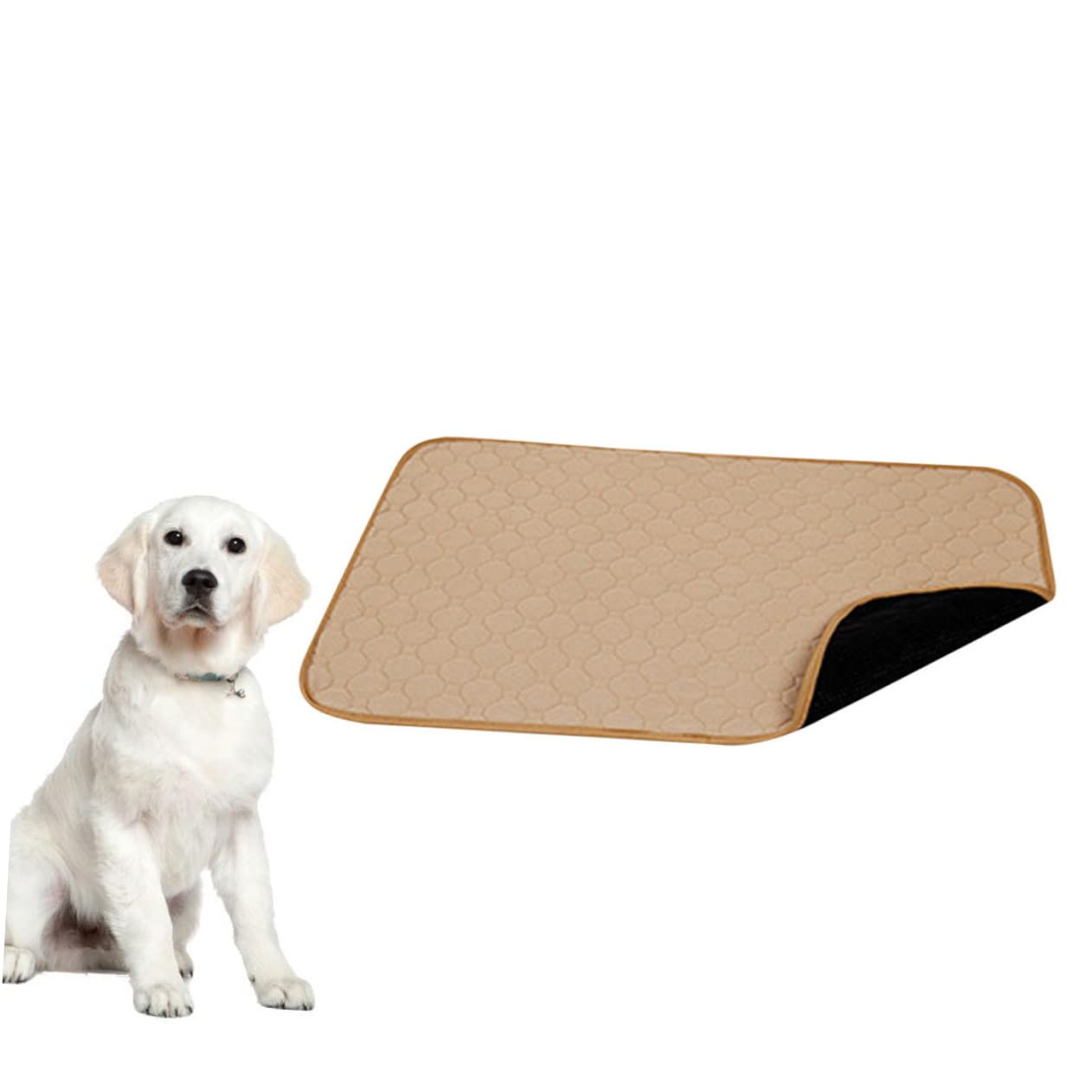 COLLBATH Tappetino Igienico Assorbente per Cani e Animali, Tessuto Delicato sulla Pelle, , Lavabile, per L'addestramento