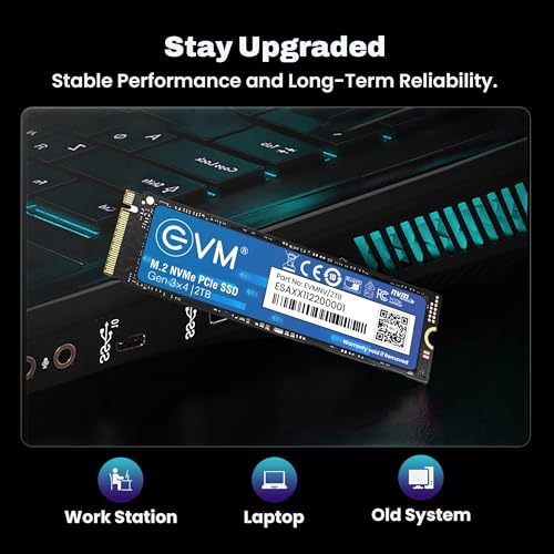Image of EVM 2TB NVMe Gen 3x4 Internal SSD (2280) - Upto 3800MB /s Read & 3000MB /s Write | PCIe 3.0 M.2 Solid State Drive for Gaming, Laptops & Desktops | Shock Resistant & 5-Year Warranty (EVMNV /2TB)