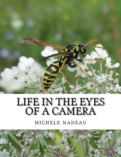 Life in the eyes of a camera: no one is perfect 1517073642 Book Cover