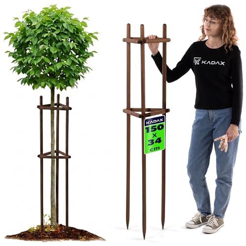 KADAX Soporte para árbol de 150 cm de madera resistente, estacas para fijar de forma segura árboles y arbustos jóvenes, soporte para plantas de madera de haya con tres patas para jardín
