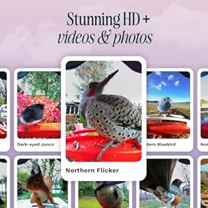 Bird Buddy Solar Smart Bird Feeder with Camera - Ai Bird Species Identification, 5Mp Photos, 2K Hd Video Live Stream Camera, Solar-Powered Charging, 2.8In Focus - Blue Bird Buddy Solar Smart Bird Feeder with Camera Ai Bird Species Identification 5Mp Photos 2K Hd Video Live Stream Camera Solar Powered Charging 28In Focus Blue